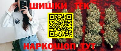 тгк Будённовск