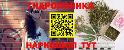 сатива Бузулук