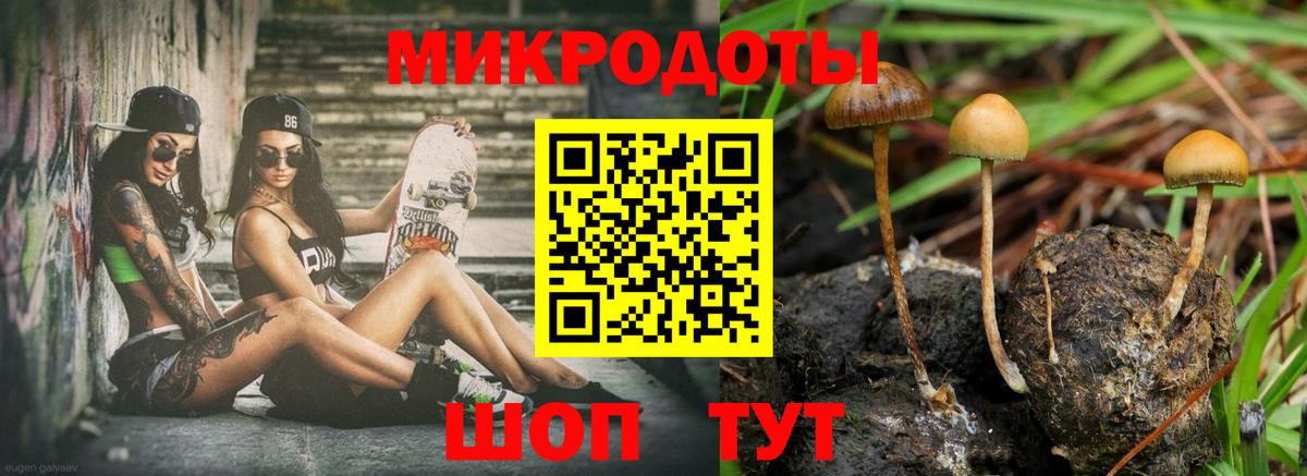 Галлюциногенные грибы Cubensis  Вход с VPN  Фролово  Псилоцибиновые грибы Psilocybine cubensis 